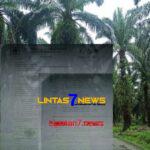 Masyarakat Minta Kementrian LHK Tolak Surat Permohonan PT. Sandabi Indah Lestari