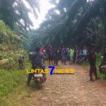 Diduga Manajemen SIL Adu Domba Masyarakat Untuk Pertahankan Kawasan HPK