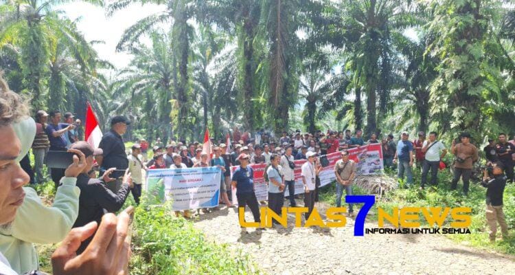 Hampir Sebulan Kuasai Kawasan Hutan HPK, Kementrian LHK Harus Berpihak Ke Masyarakat