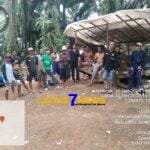 Kementrian Kehutanan Lamban, Perambahan Kawasan Hutan Pihak Perusahaan Perkebunan Semakin Leluasa