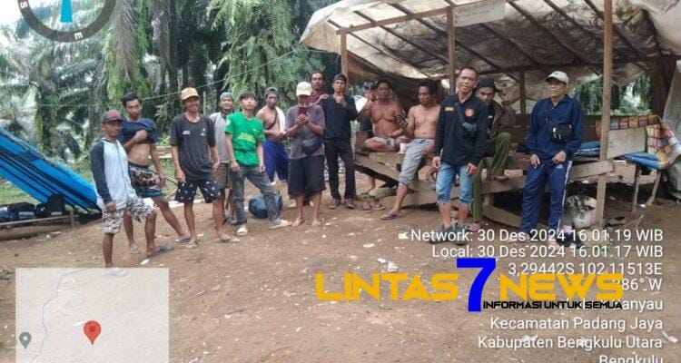 Kementrian Kehutanan Lamban, Perambahan Kawasan Hutan Pihak Perusahaan Perkebunan Semakin Leluasa