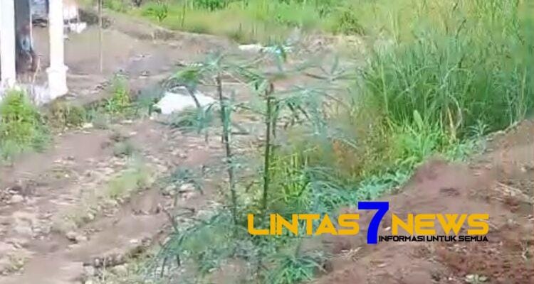 Warga Desa Punguk Beringang Kesulitan Evakuasi Pasien Akibat Jalan Tebing Terjal