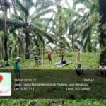 Jefri : Pihak Manajemen PT. SIL Harus Hormati Proses Hukum, Jangan Bodohi Masyarakat