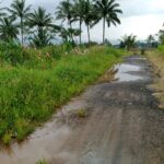 Baru Dibangun, Jalan Usaha Tani 2024 di Dusun I Desa Suka Merindu Rusak Parah: Warga Minta Klarifikasi, Namun Khawatir Berbicara