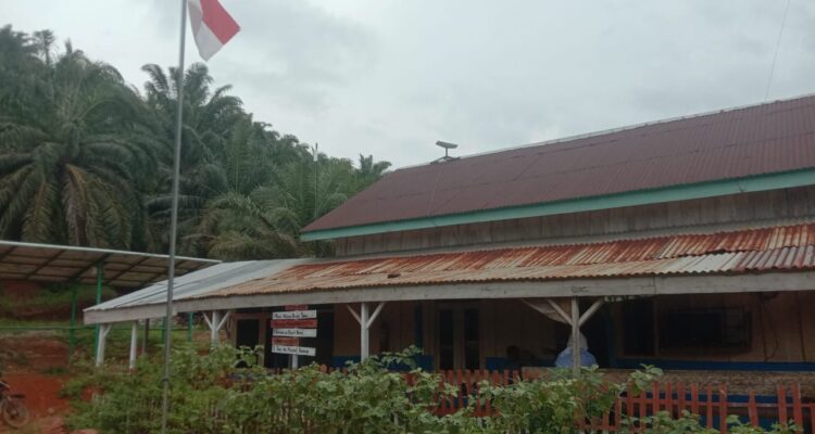 PT. Dinamika Selaras Jaya Kelolah Kebun Sawit Tanpa Izin HGU, Masyarakat Minta Kembalikan ke Rakyat