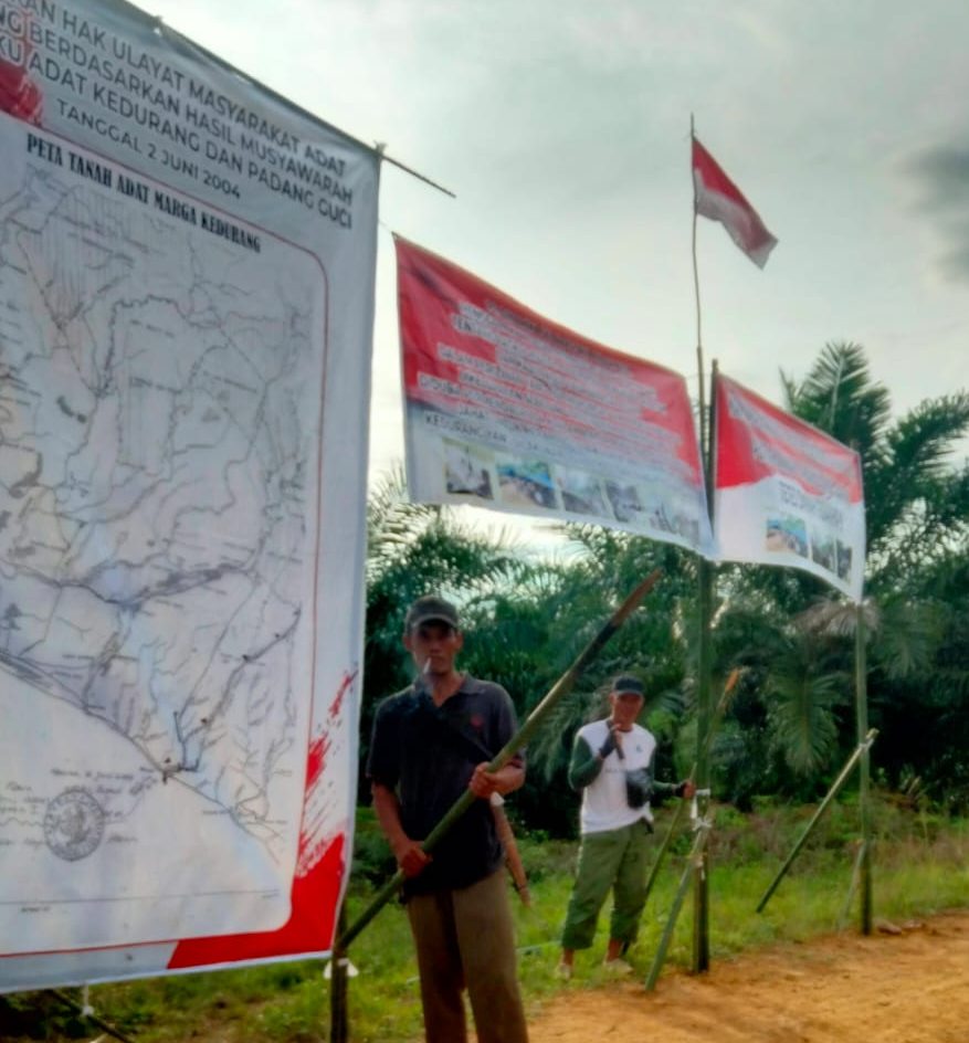 Tak Puas Hasil Mediasi, Masyarakat Adat Kedurang Duduki Lahan