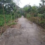 Jalan Rusak di Desa Air Sempiang, Dugaan Korupsi Proyek Mengancam Keselamatan Warga!