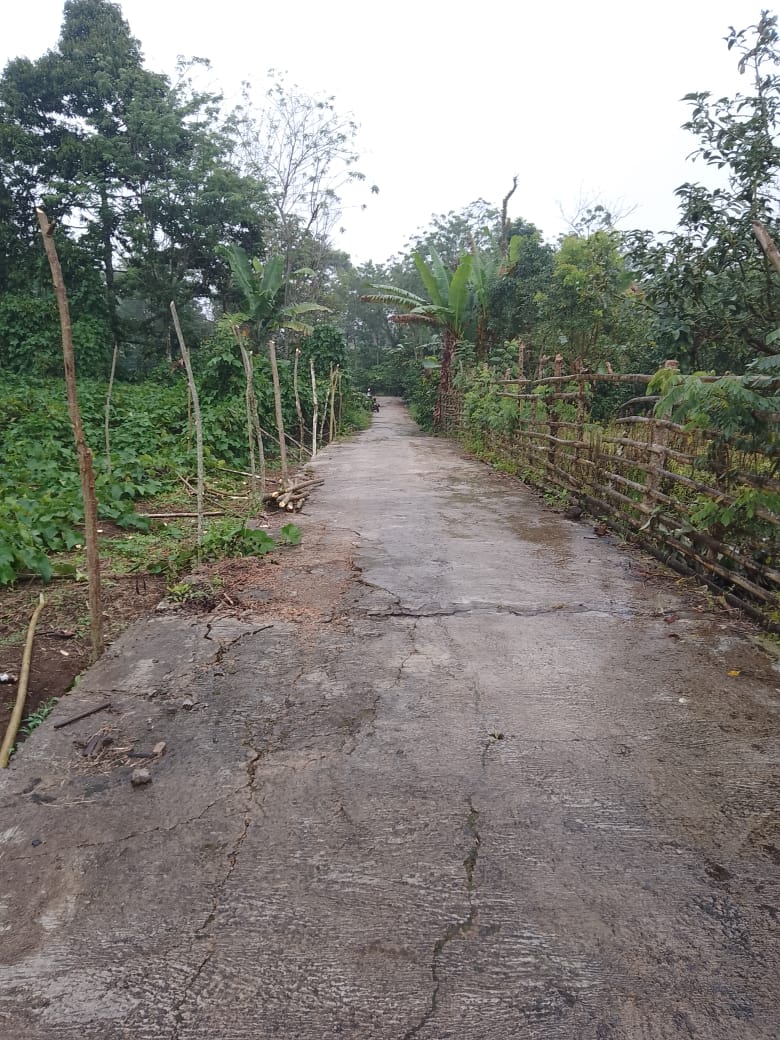 Jalan Rusak di Desa Air Sempiang, Dugaan Korupsi Proyek Mengancam Keselamatan Warga!