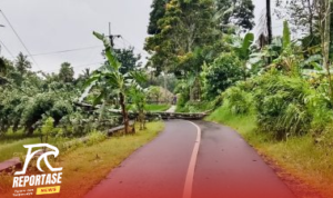 Listrik Padam Seharian, Warga Keluhkan Respons Lambat PLN